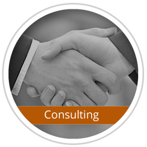 sicherheits-consulting